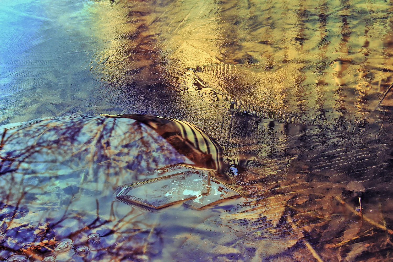 фото "***" метки: природа, 