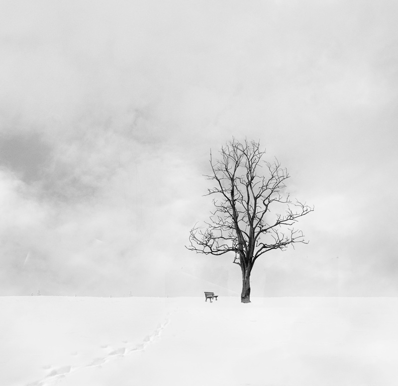 photo "Die Bank" tags: landscape, black&white, abstract, Abstract, Europe, Landscape, winter