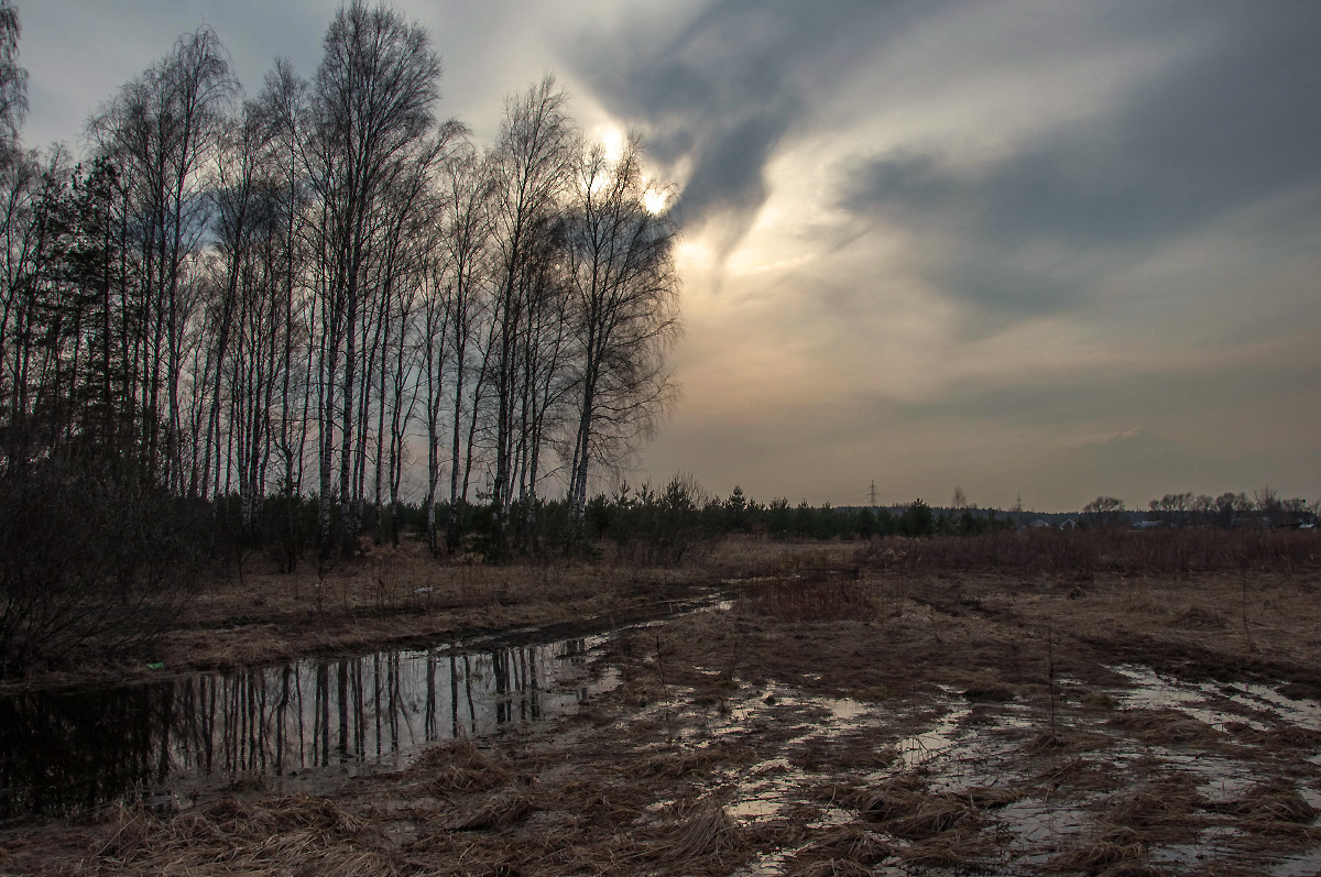 photo "***" tags: landscape, clouds, forest, road, sky, spring, water, деревья