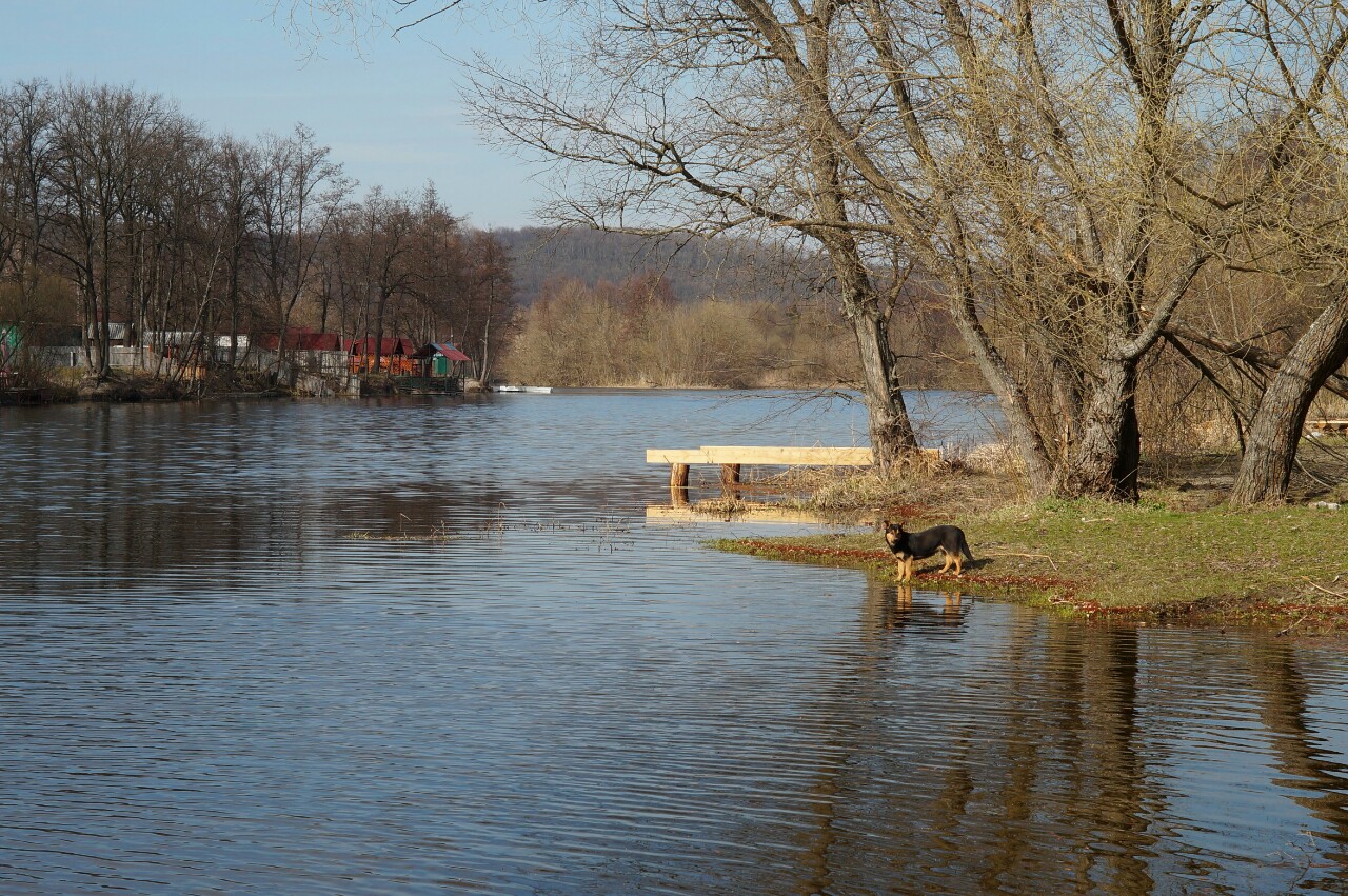 photo "***" tags: nature, landscape, 