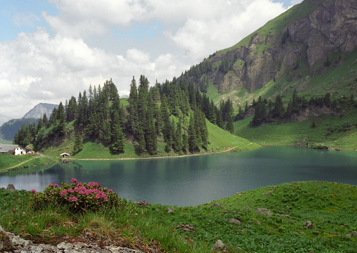 photo "***" tags: landscape, Швейцария
