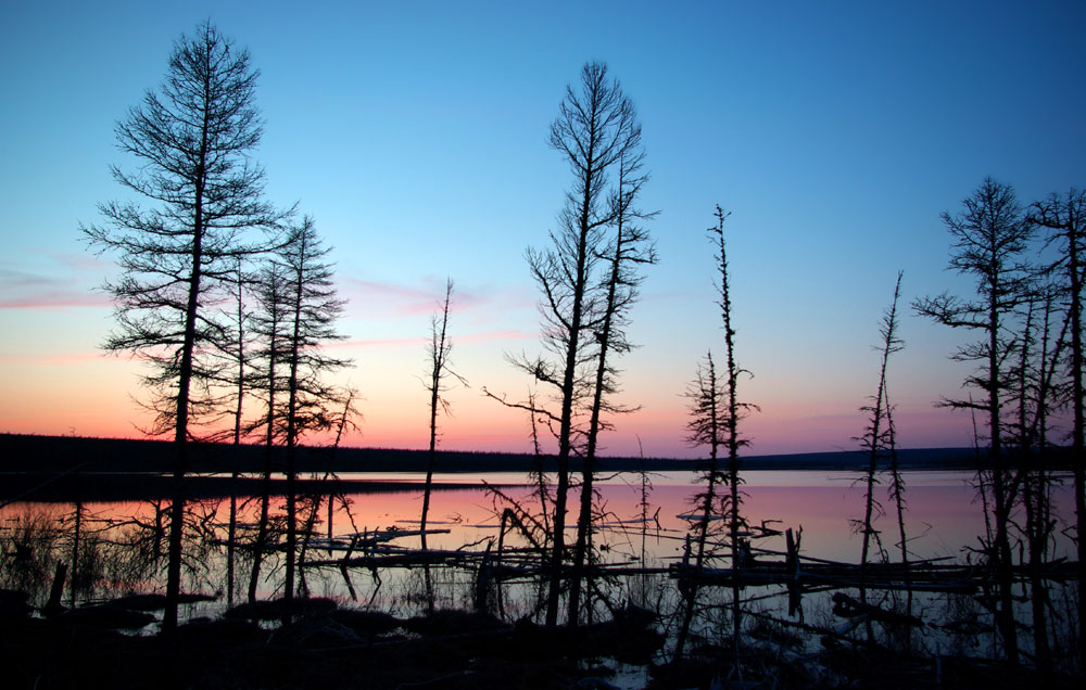 photo "***" tags: landscape, spring, taiga, приполярье, река Сытыкан