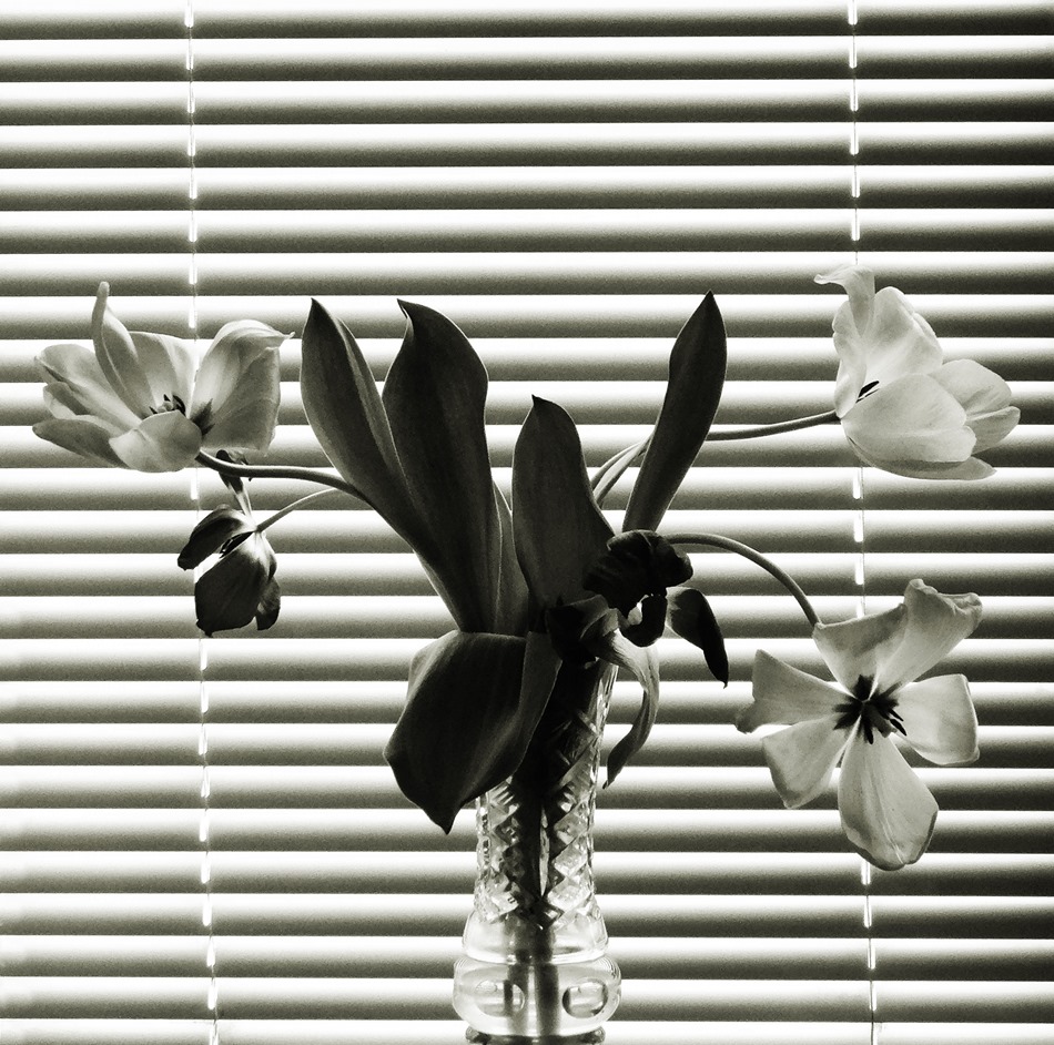 photo "***" tags: misc., 