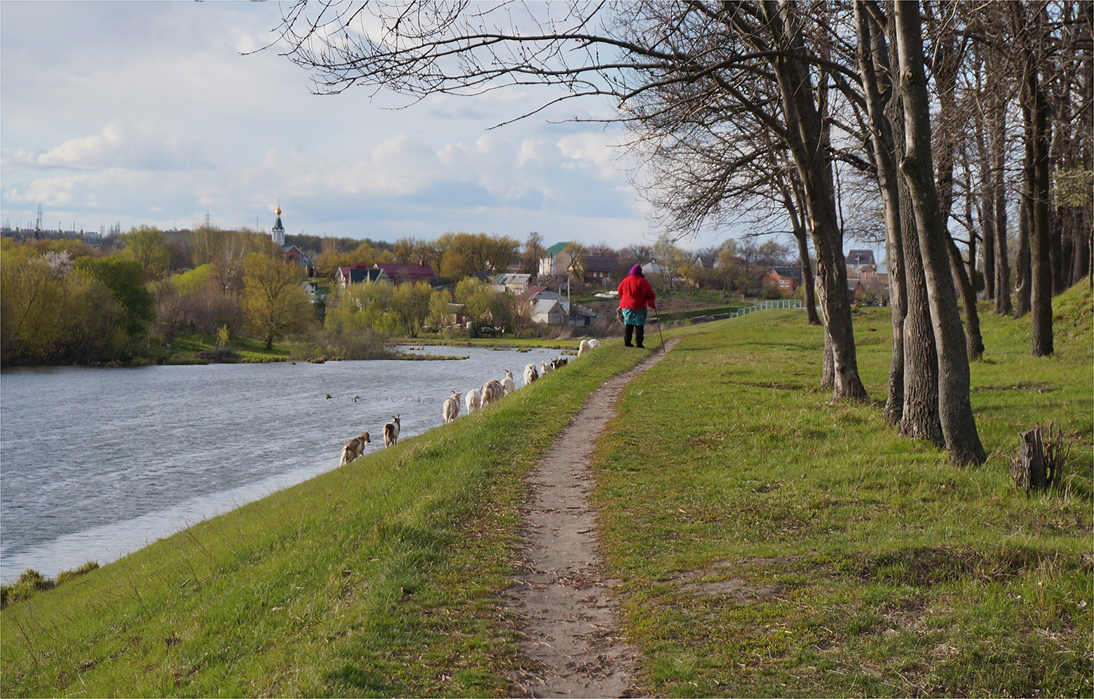 photo "***" tags: landscape, nature, 