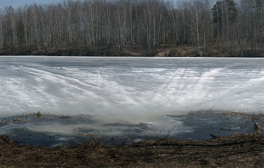 photo "April in the Park" tags: landscape, nature, panoramic, 