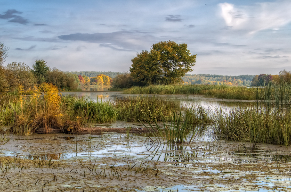 photo "***" tags: landscape, autumn, water