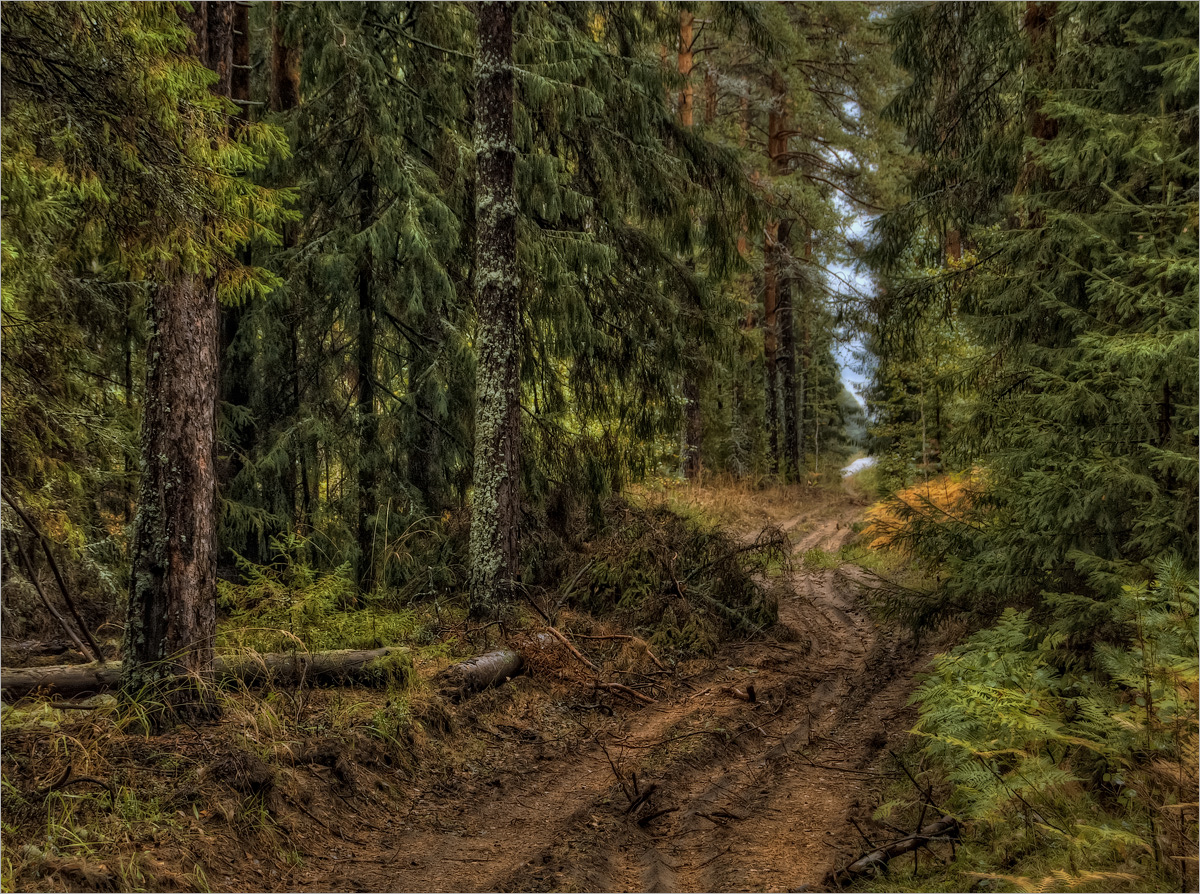 photo "***" tags: landscape, nature, 