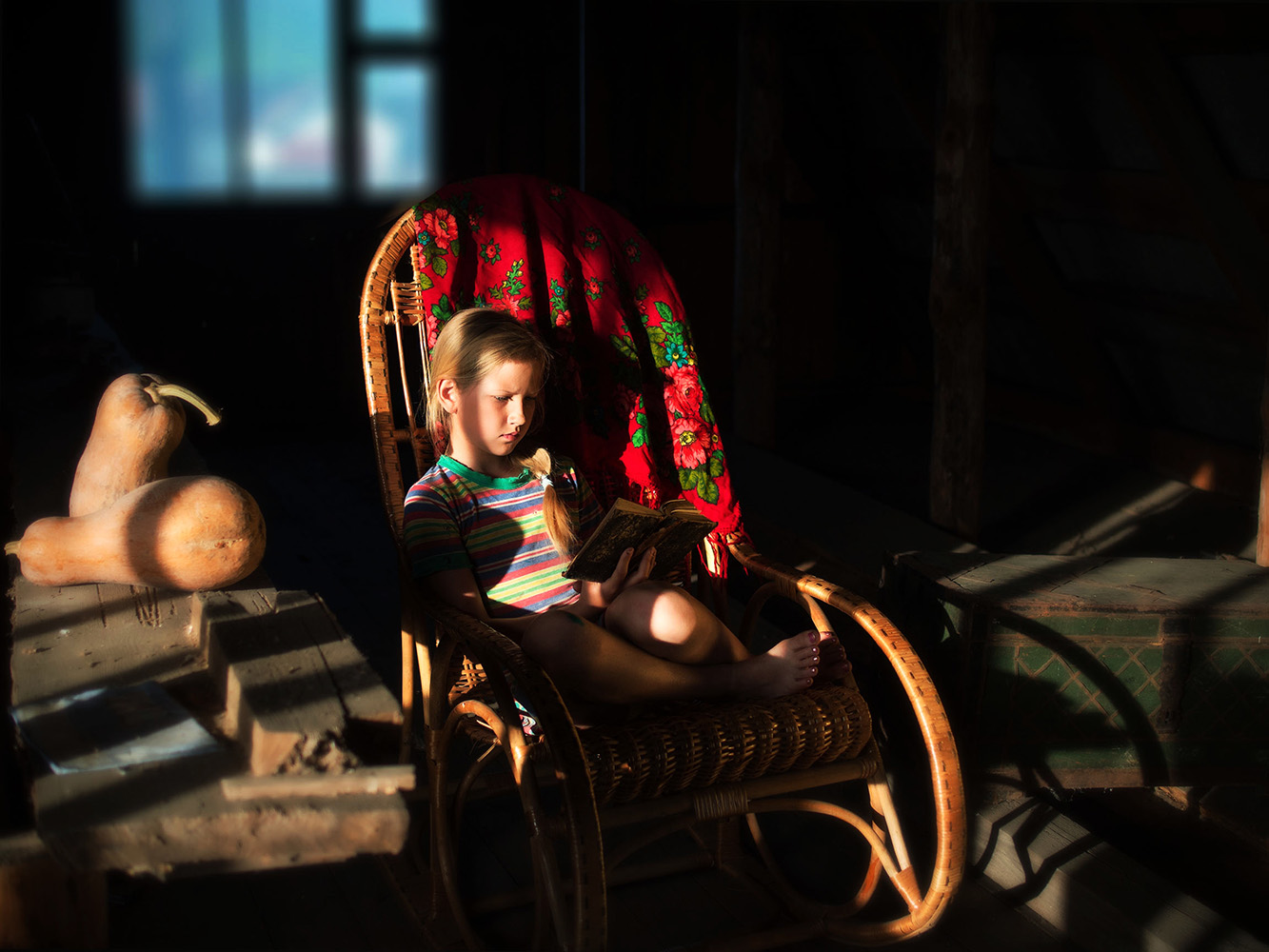фото "Чердак" метки: жанр, 