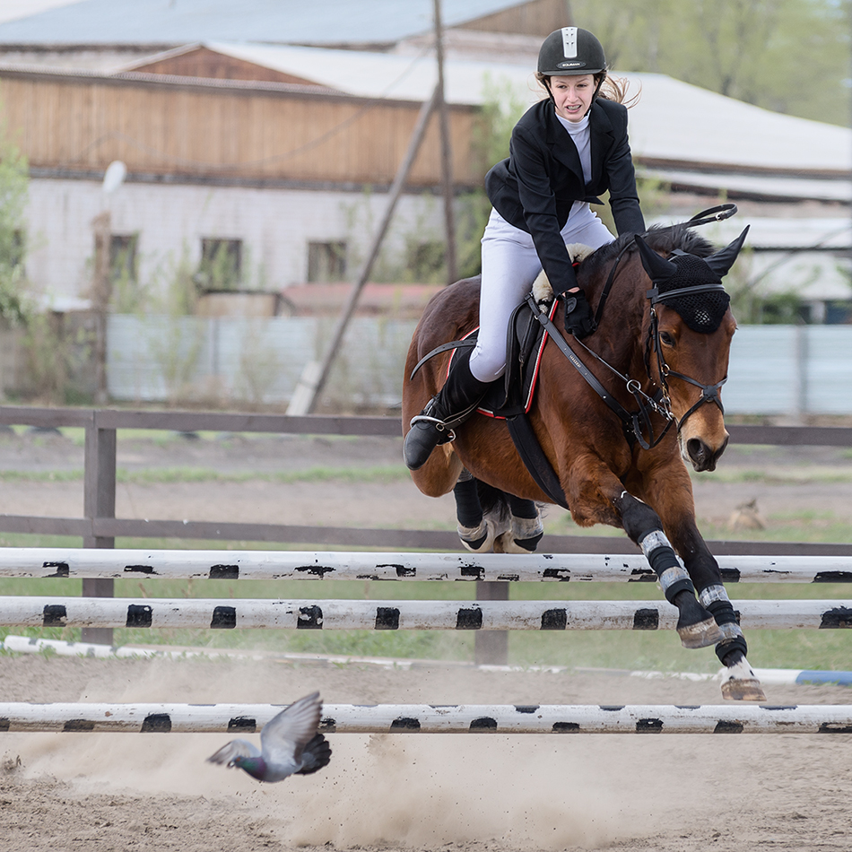 фото "Полет.(конкур)" метки: спорт, разное, 