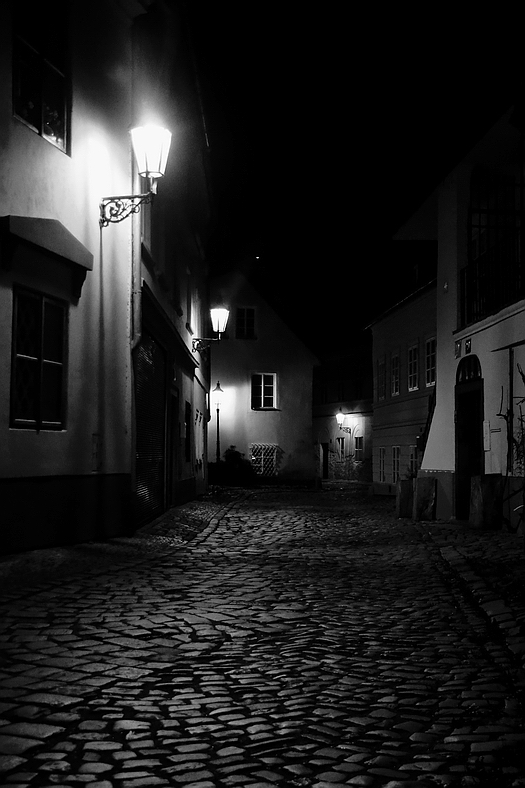 photo "Ночные фонари и дома" tags: black&white, Prag, Prague, Praha