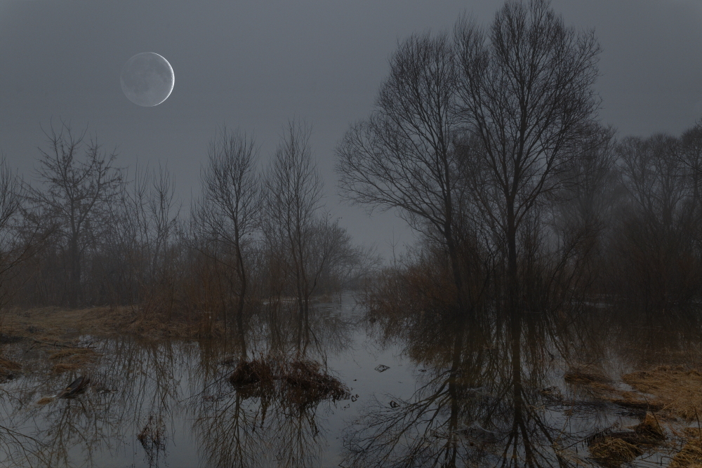 photo "***" tags: landscape, 