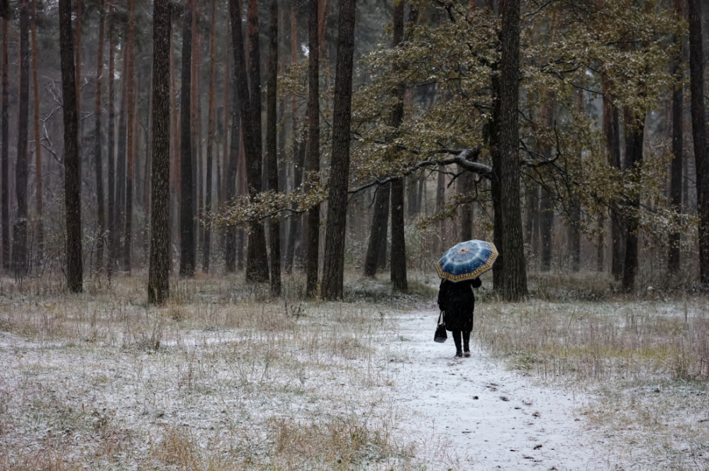 фото "По первому снежку." метки: пейзаж, 