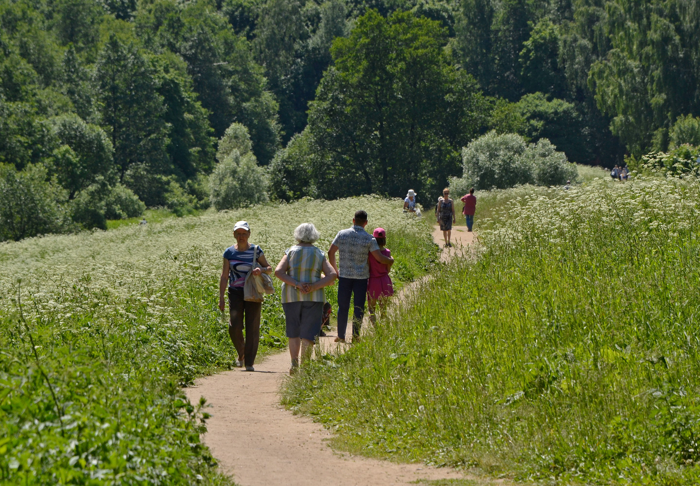 photo "***" tags: landscape, park, summer