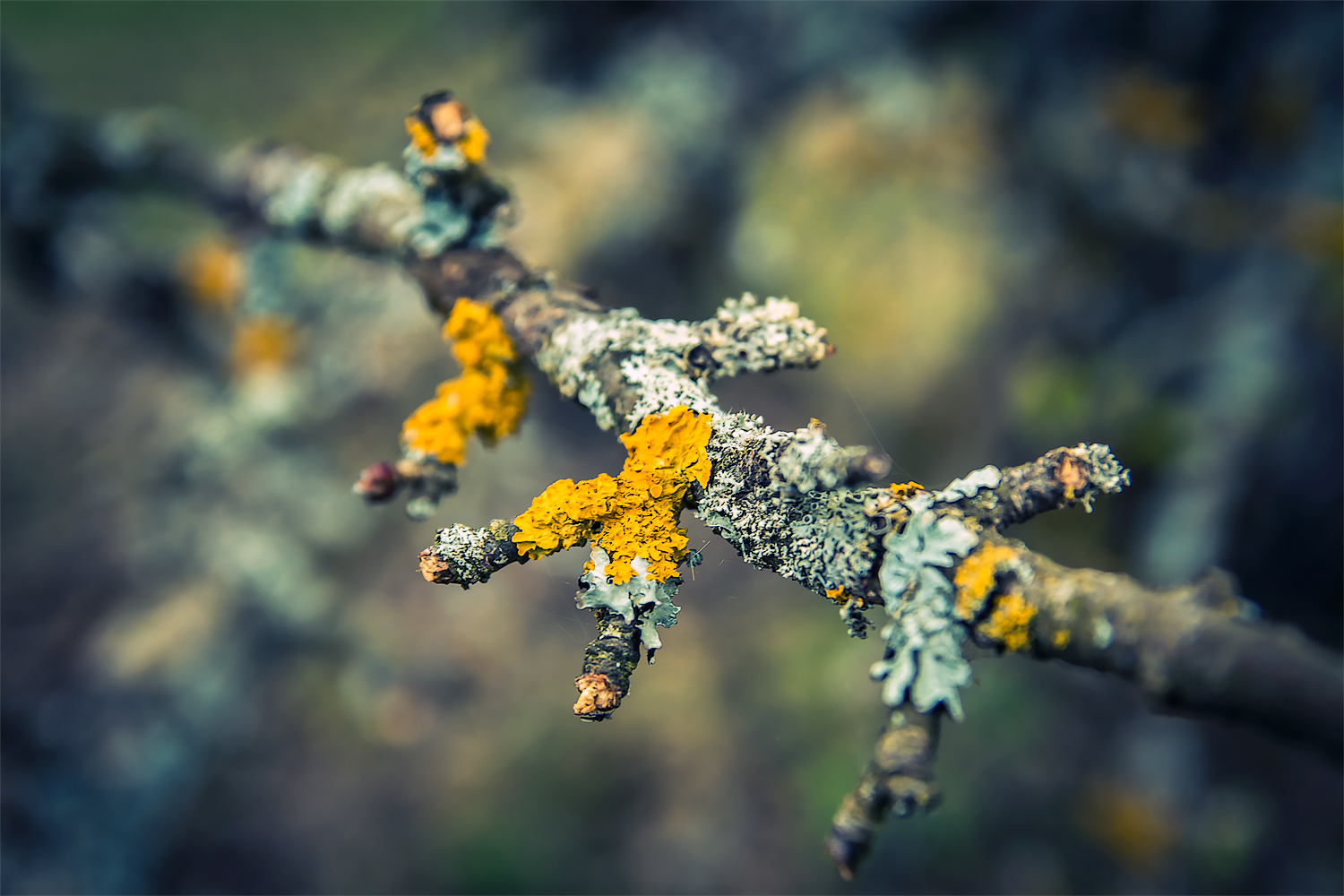 фото "***" метки: природа, 