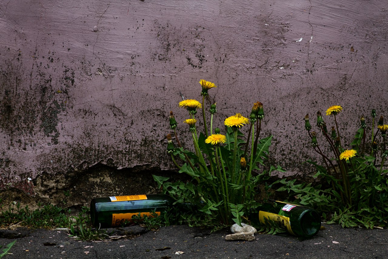 photo "***" tags: architecture, nature, fragment, spring, человек