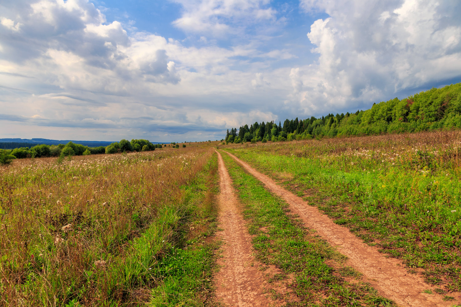 photo "***" tags: landscape, nature, travel, Russia, clouds, field, forest, road, Русский лес