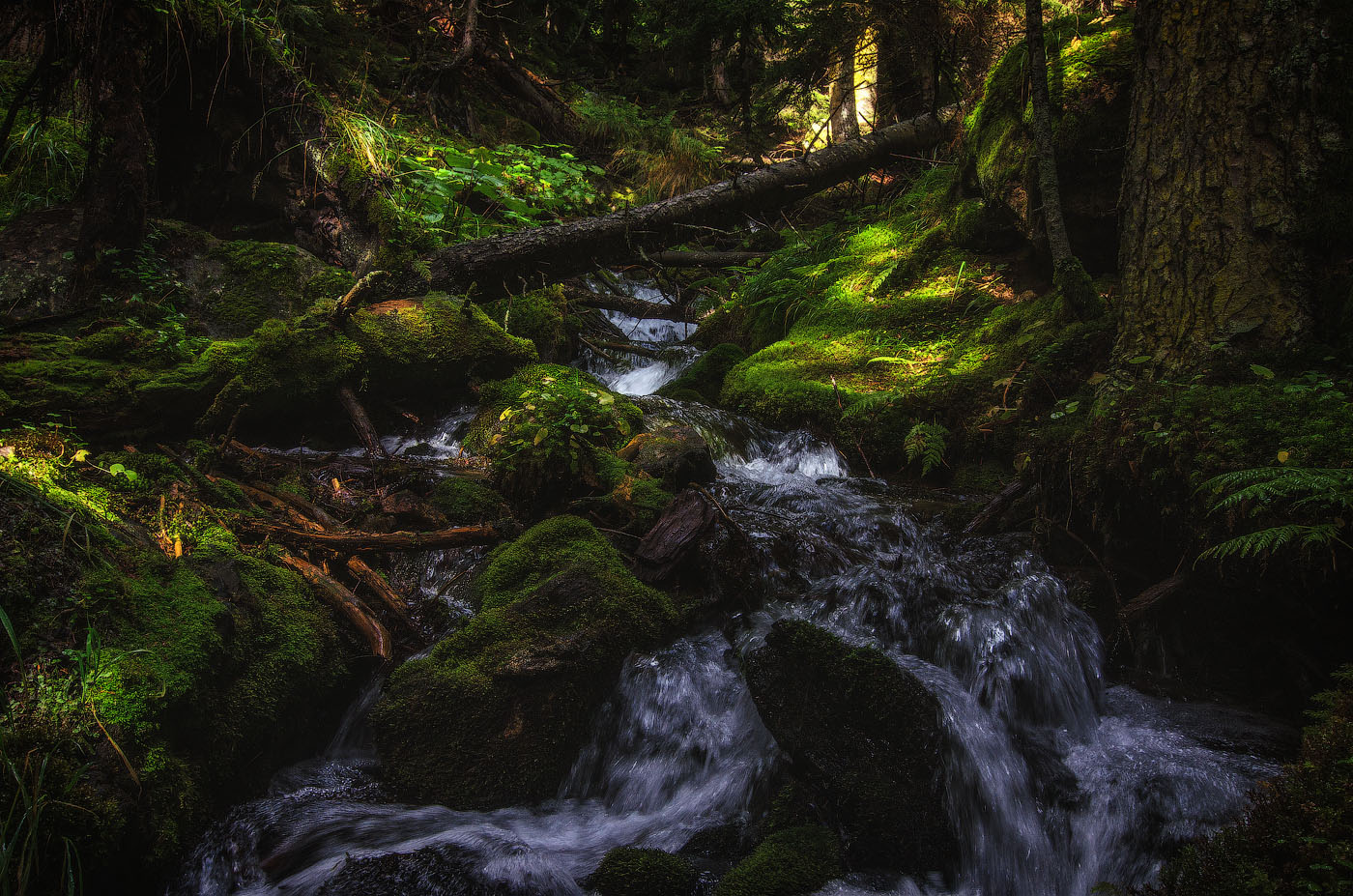 photo "***" tags: landscape, 