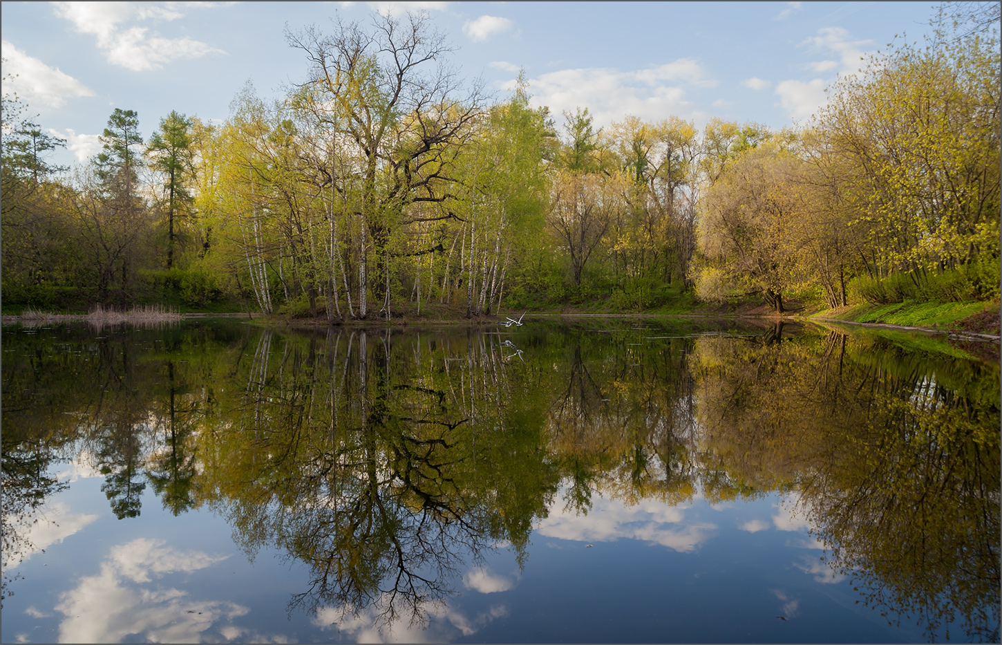 photo "***" tags: nature, lake, reflections, spring, май