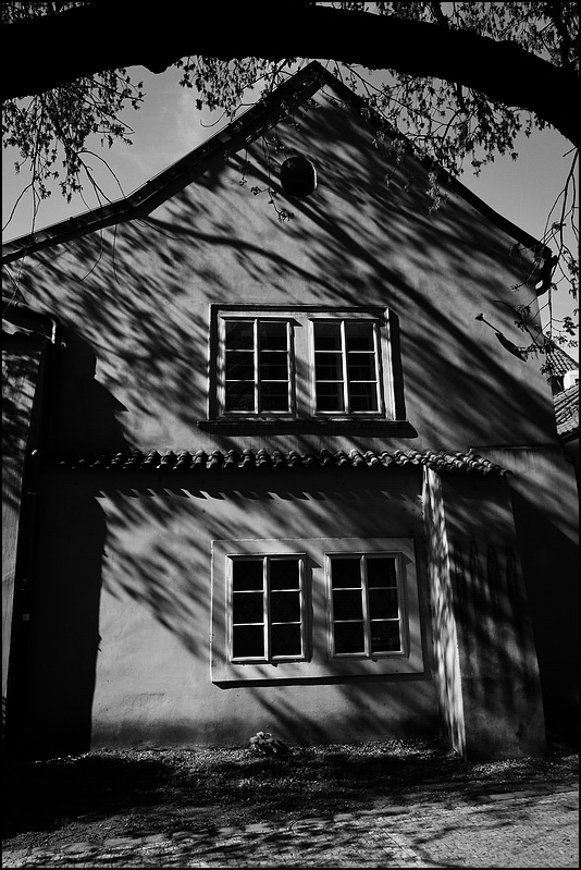 фото "Bетвь и дом" метки: черно-белые, Prag, Praha, Прага