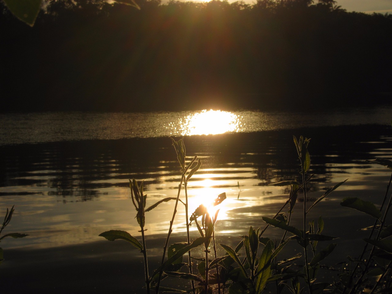 photo "***" tags: nature, landscape, 
