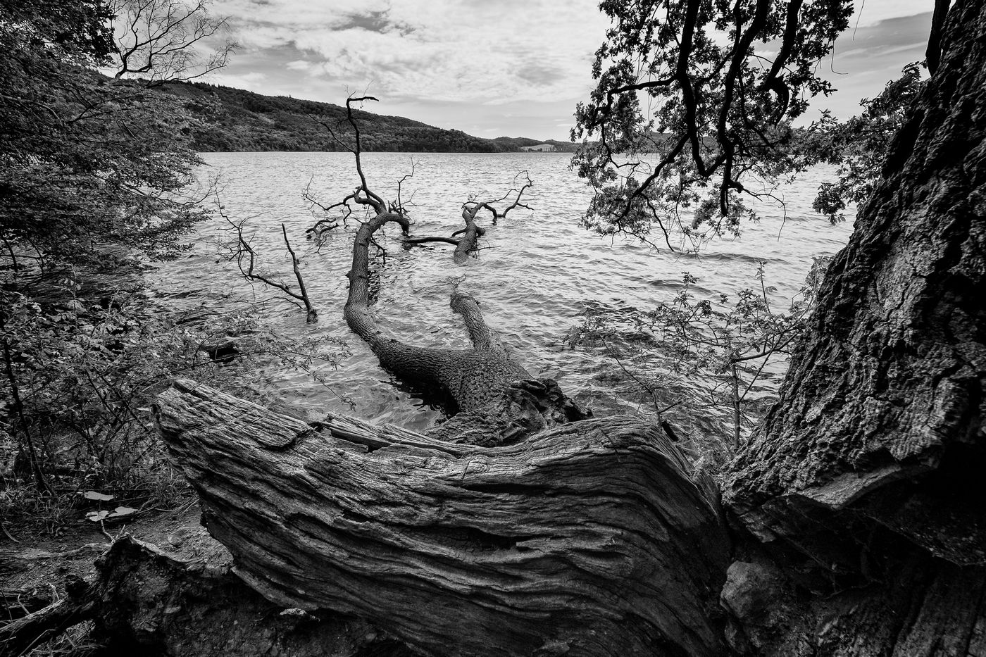photo "кончина" tags: landscape, black&white, Europe