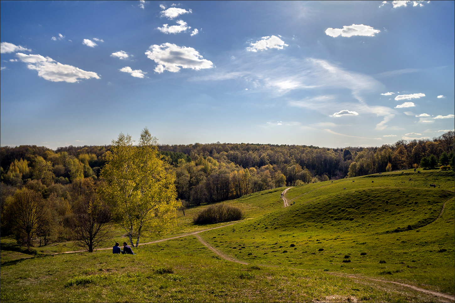 photo "***" tags: nature, 