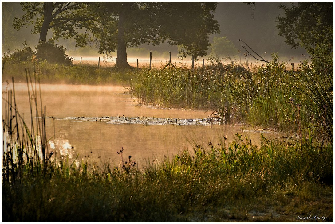 photo "***" tags: landscape, nature, 