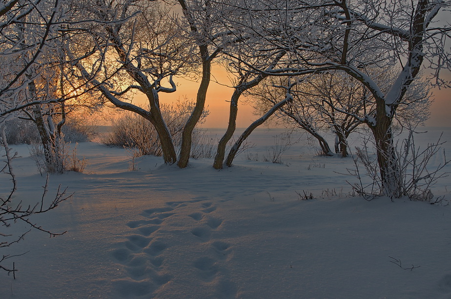 photo "***" tags: , clouds, sun, sunset, winter