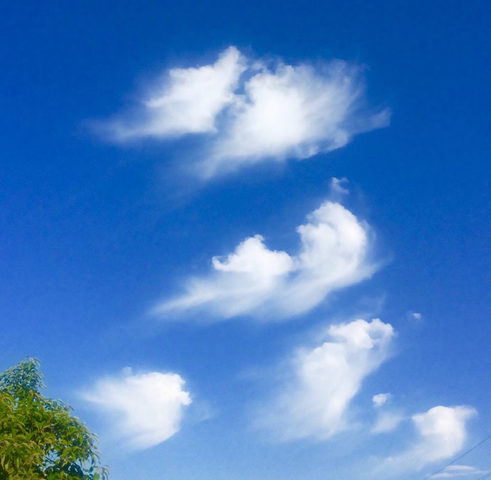 photo "Whispy" tags: landscape, nature, clouds, sky