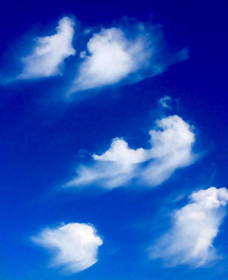 фото "Whispy II" метки: природа, whispy, небо, облака