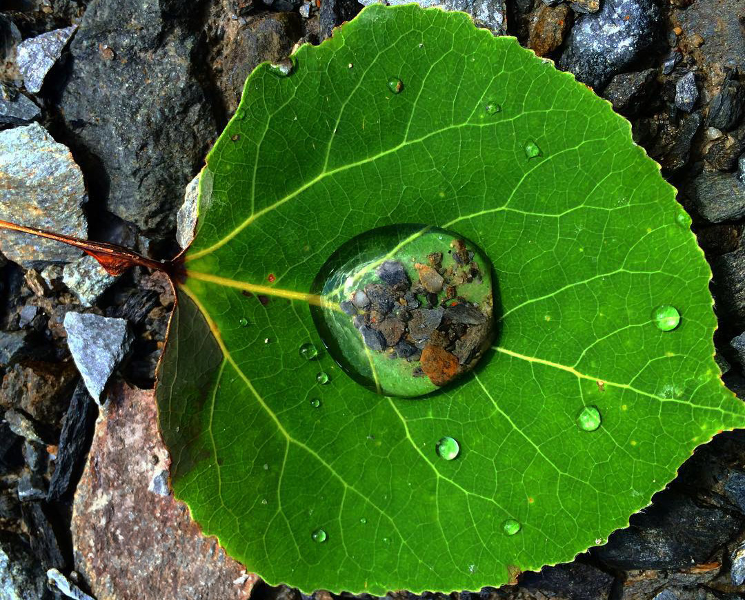 photo "Droplet" tags: nature, macro and close-up, still life, droplet, leaf, pebbles, rain, water