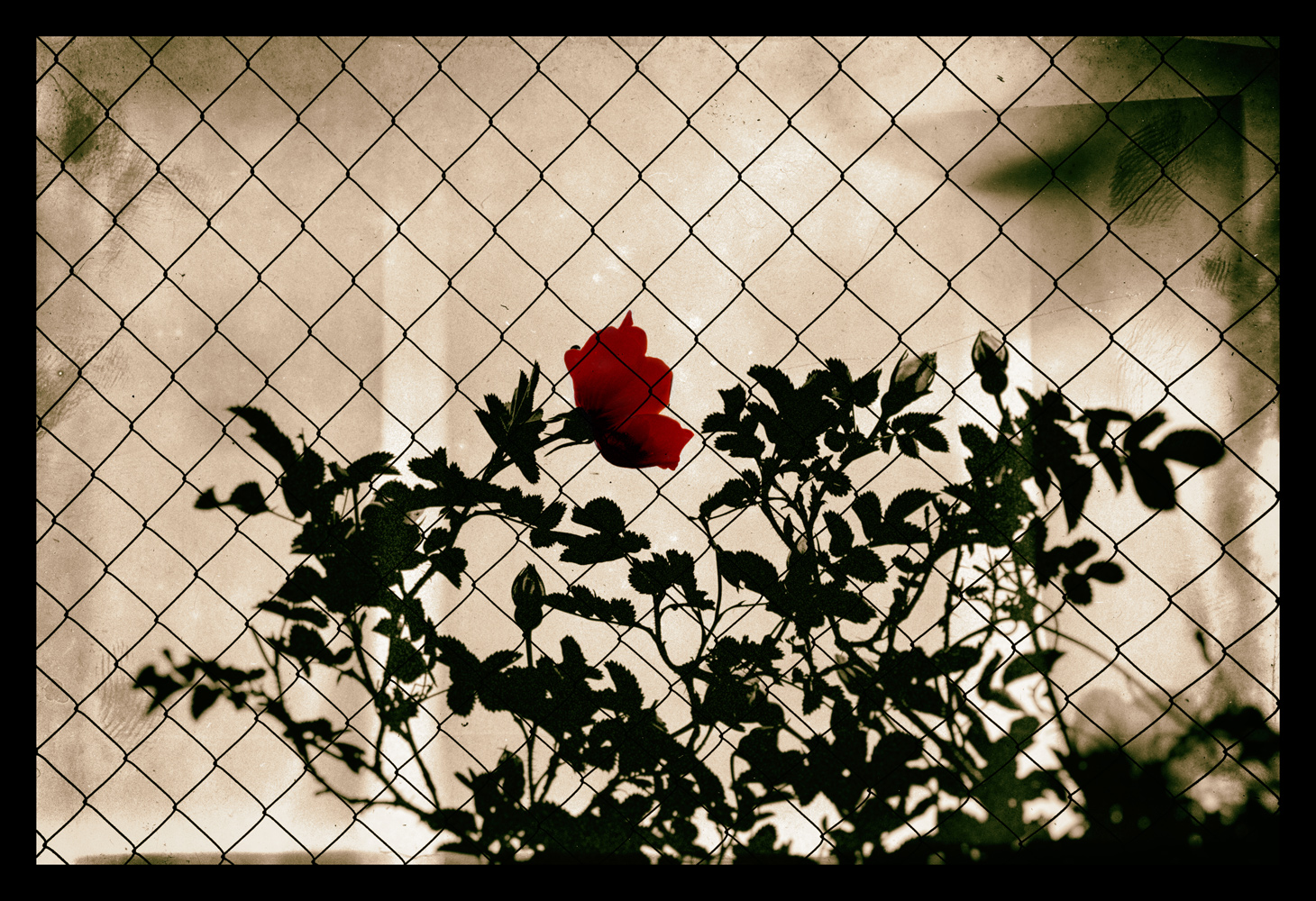 фото "***" метки: природа, digital art, путешествия, 