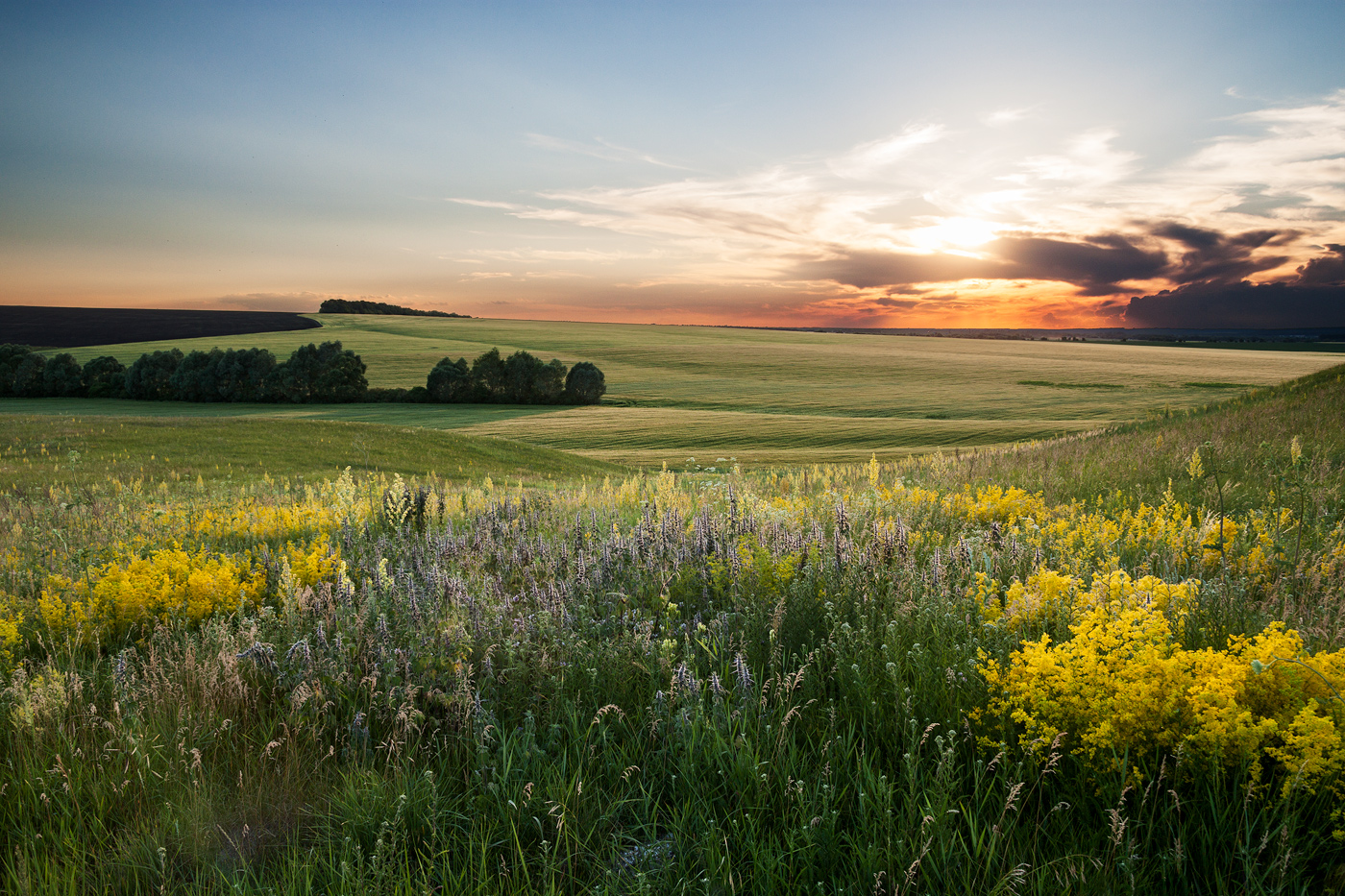 photo "***" tags: landscape, 