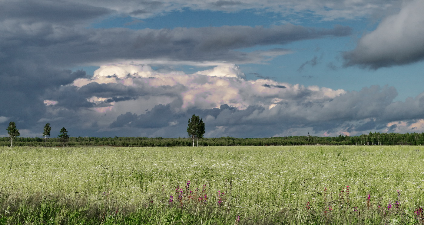 фото "***" метки: пейзаж, 