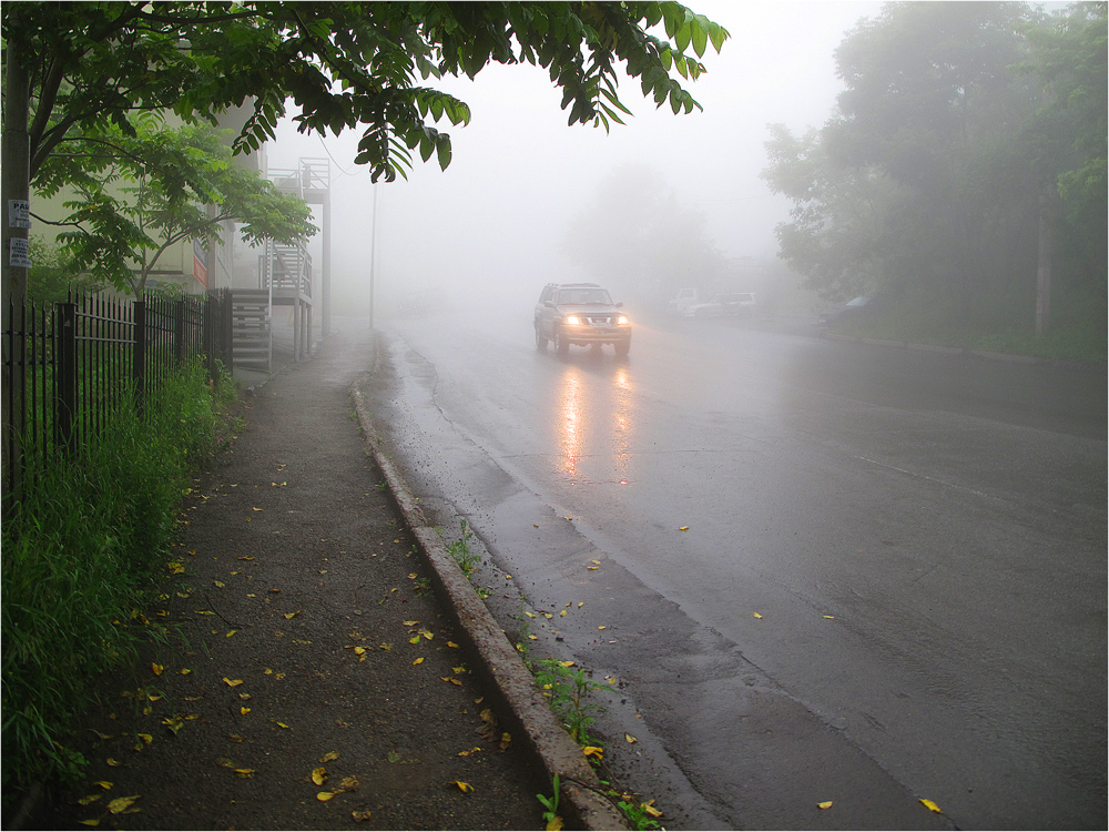 photo "***" tags: street, summer, туман.