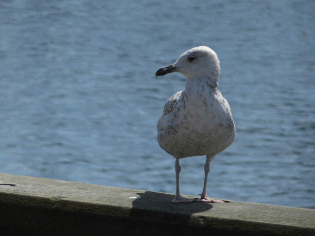 photo "Art" tags: reporting, 