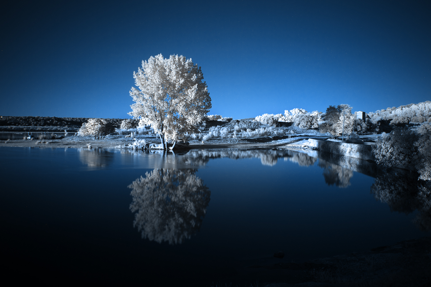 photo "INFRARED LAKE" tags: landscape, 