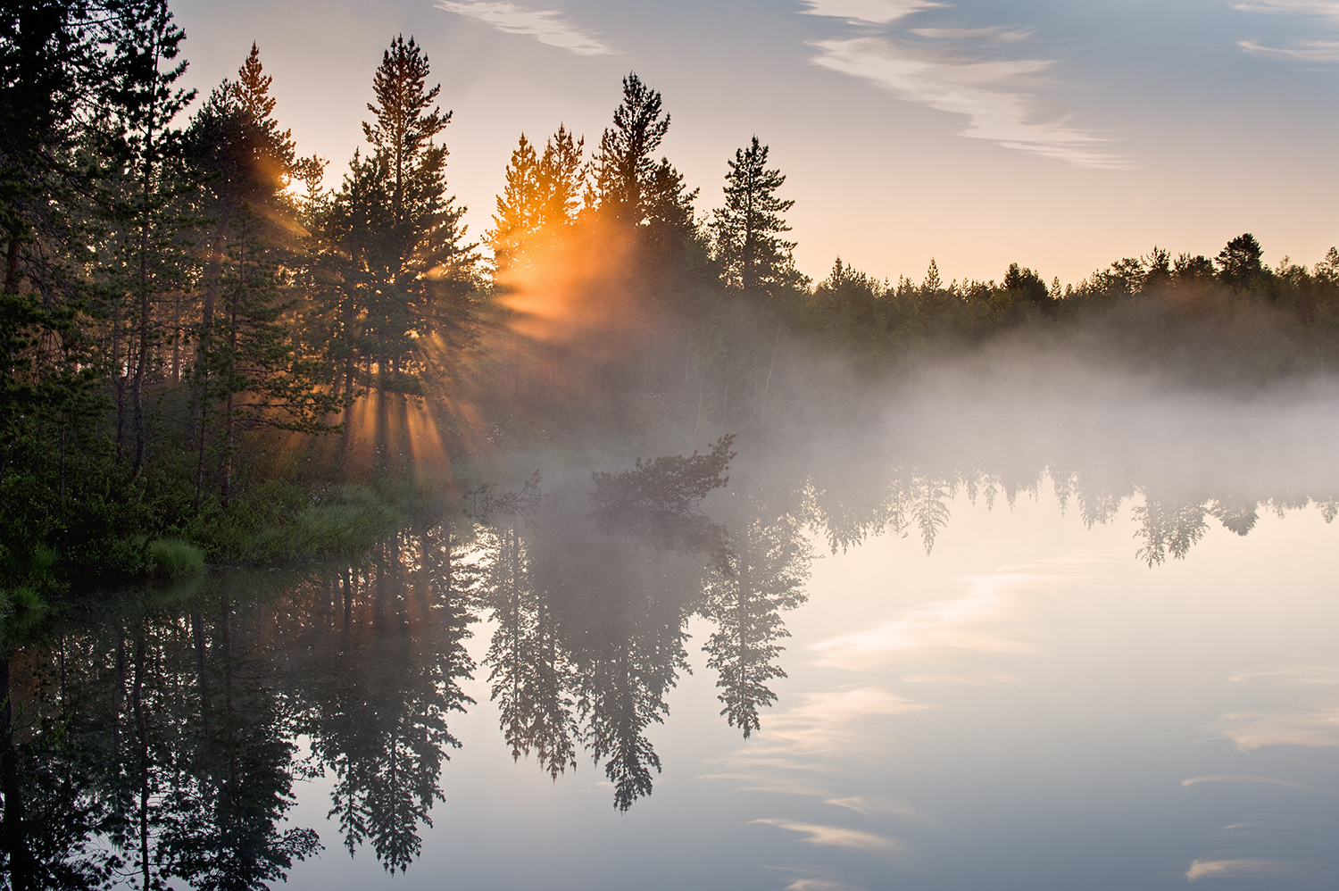 photo "***" tags: landscape, nature, forest, night, summer, water