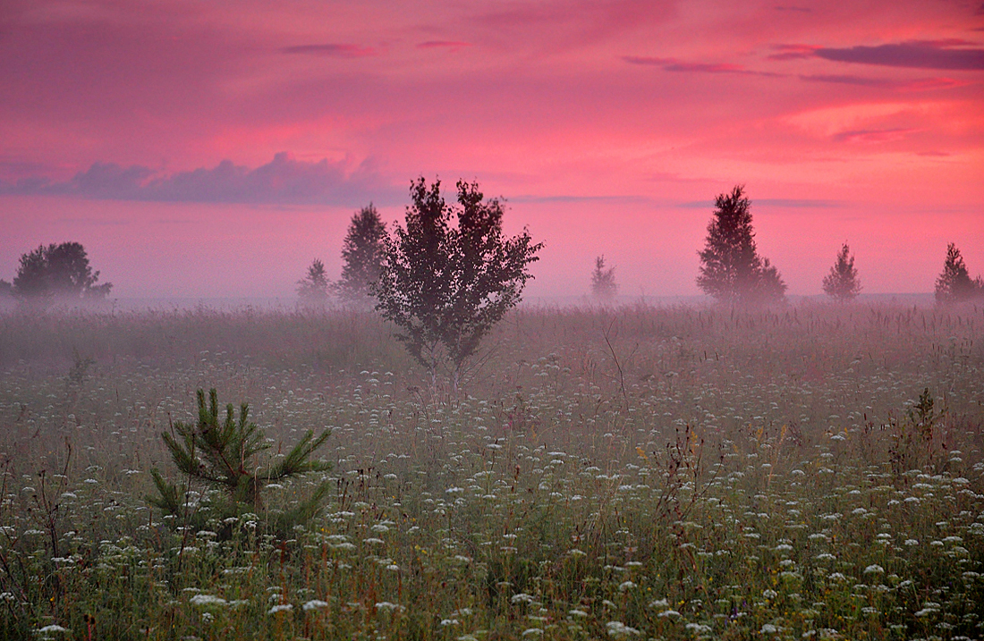 photo "***" tags: landscape, summer