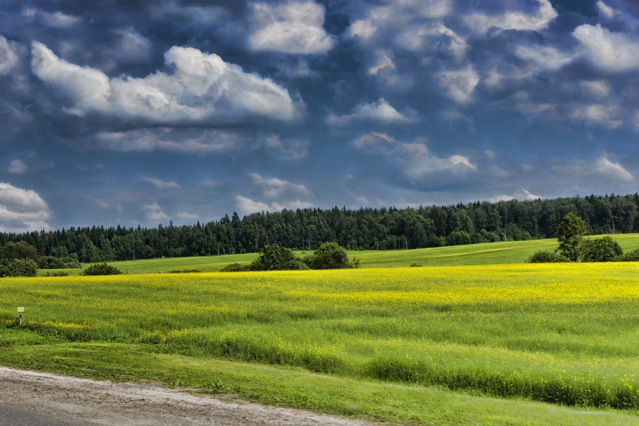 photo "***" tags: nature, landscape, 