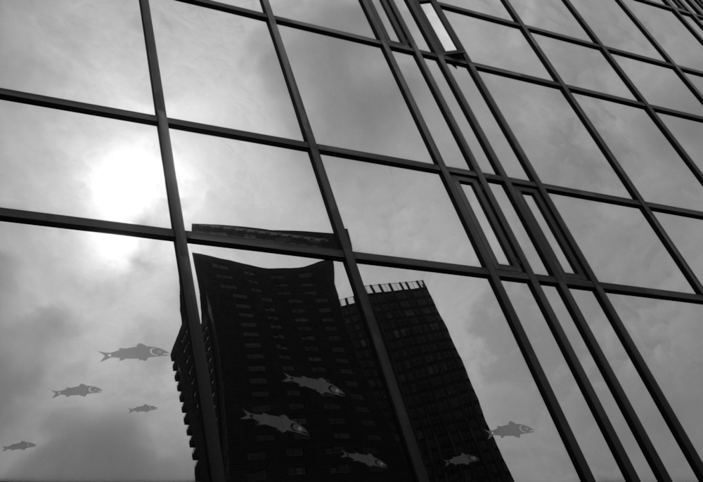 photo "***" tags: architecture, city, black&white, Rotterdam