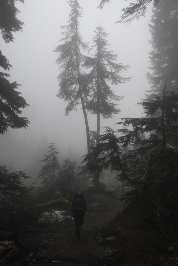 photo "The Hiker" tags: landscape, travel, nature, fog, forest, hiker, mist