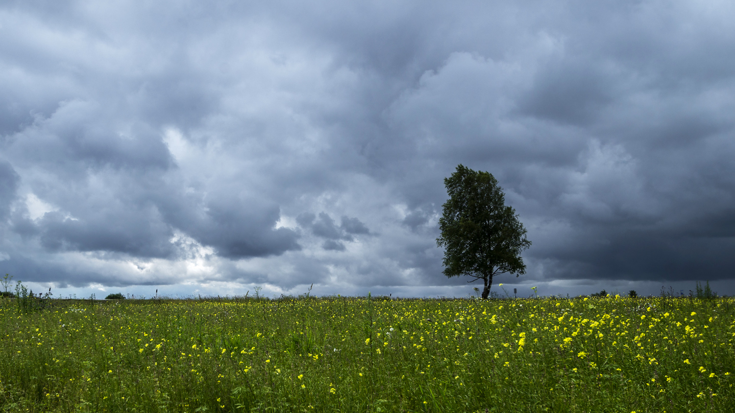 photo "***" tags: landscape, nature, 