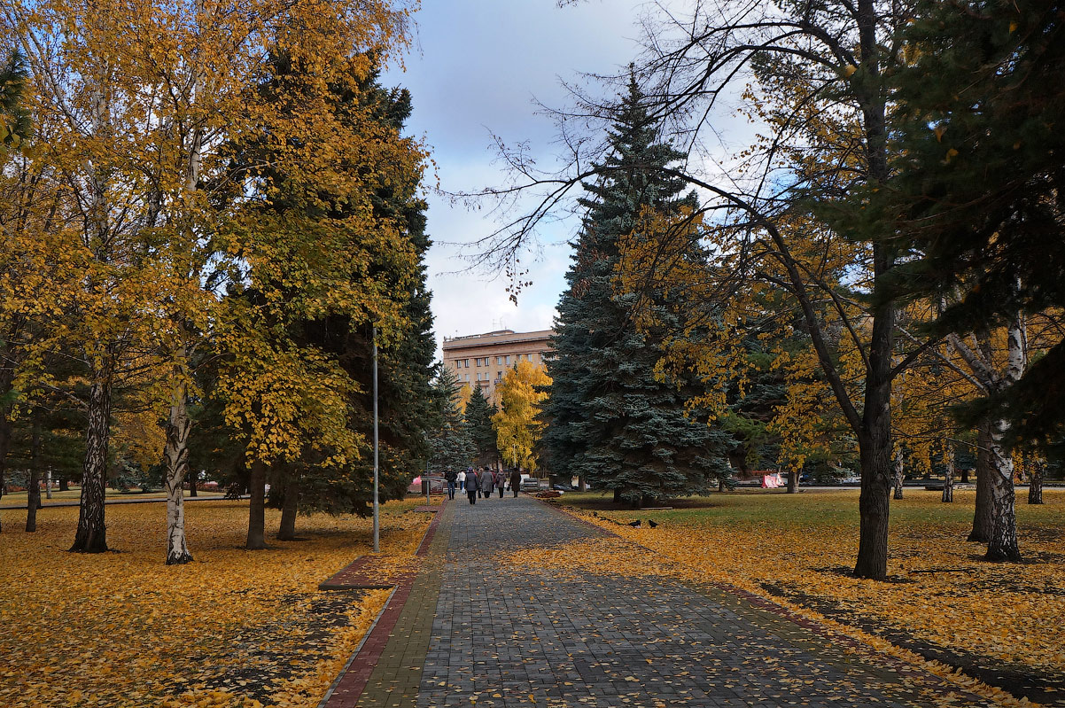 photo "Golden autumn" tags: city, autumn