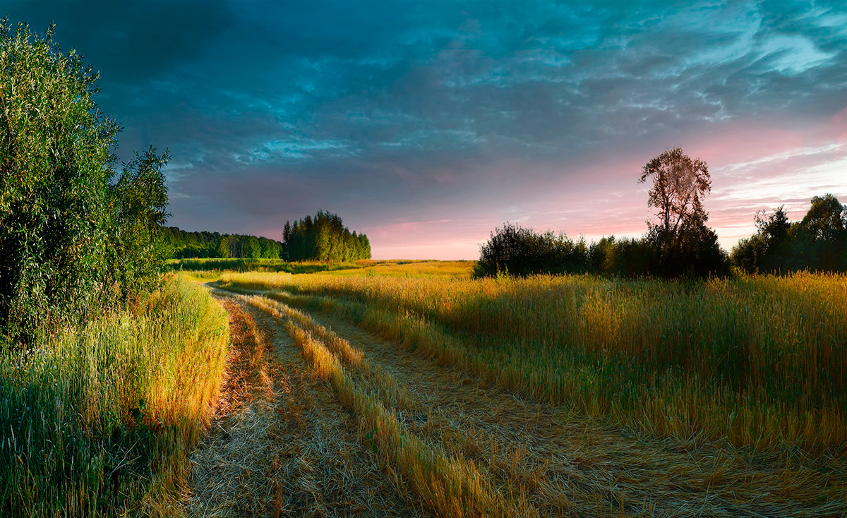 photo "***" tags: landscape, evening, summer, sunset