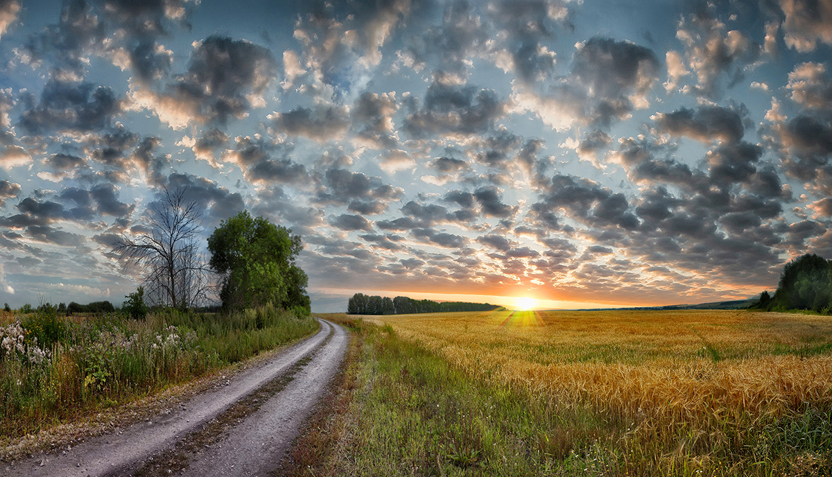 photo "***" tags: landscape, road, summer, sunset