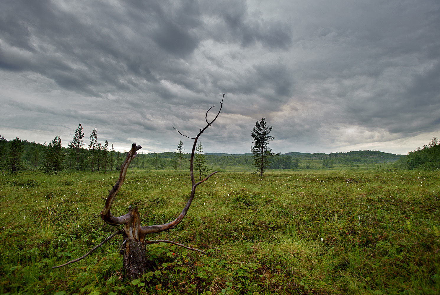 фото "Перед грозой." метки: пейзаж, природа, 