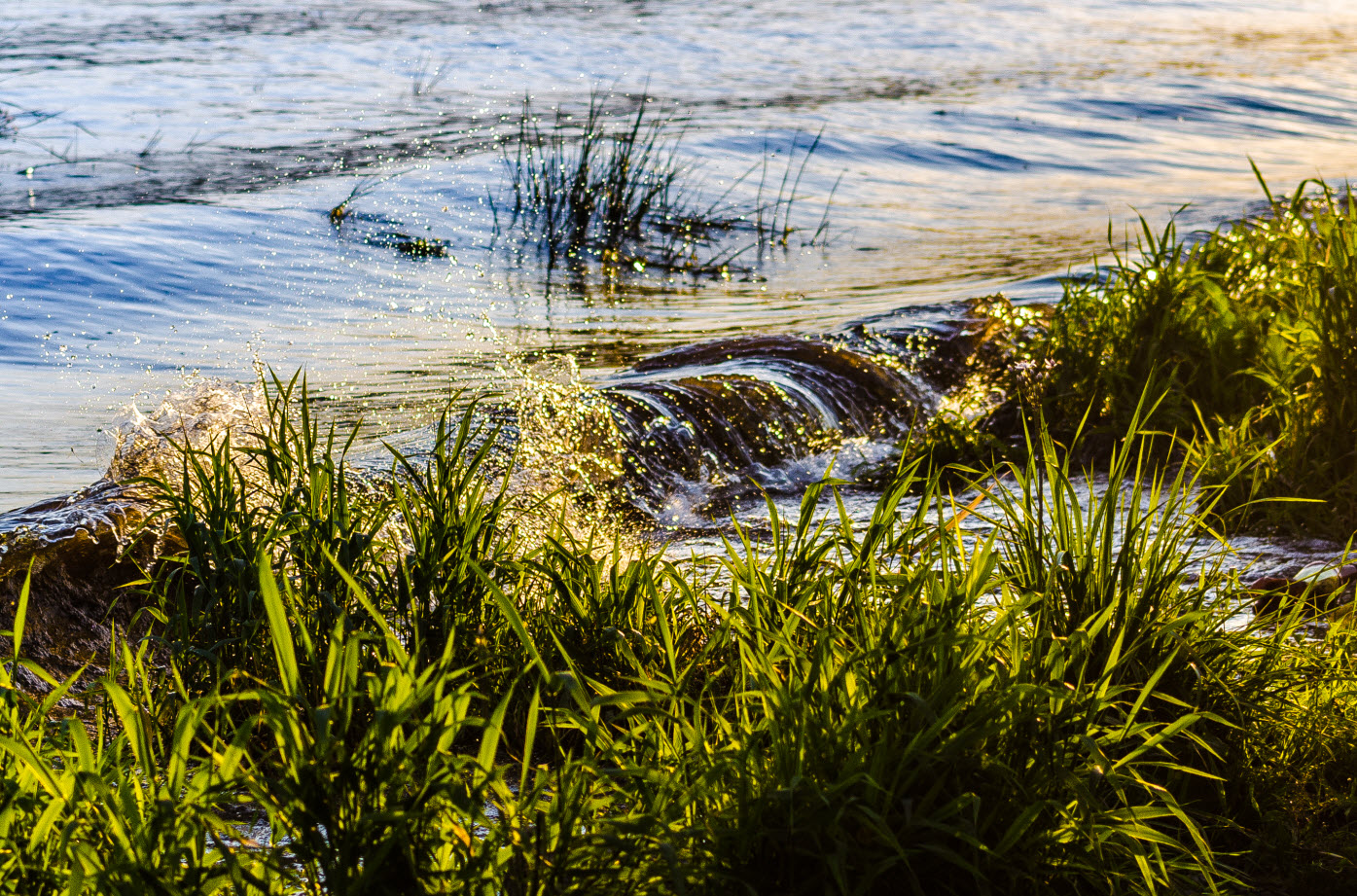 photo "***" tags: nature, grass, river, sunset