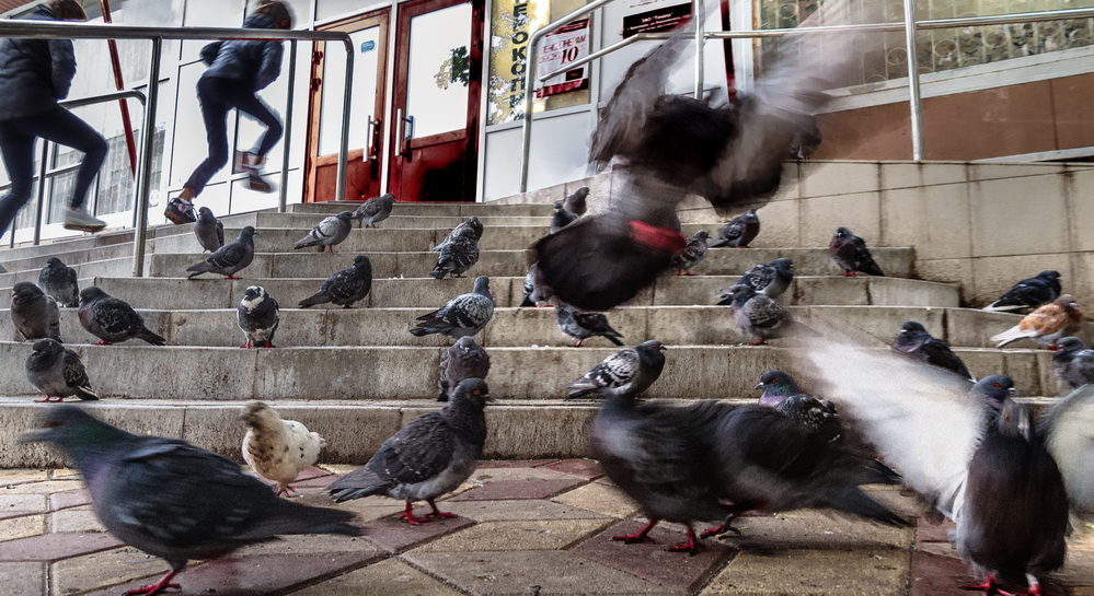 photo "***" tags: street, city, 