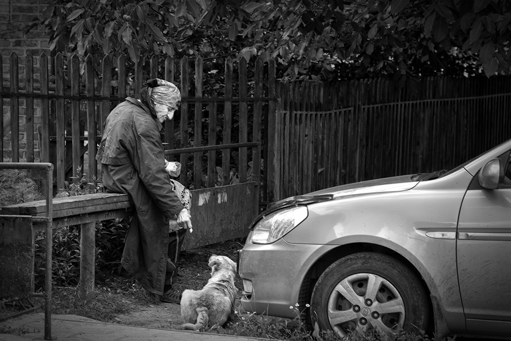 photo "***" tags: street, genre, black&white, жизнь животных, жизнь людей